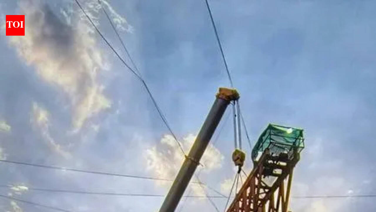 Tamil Nadu crane, Haryana plate: Vehicle registration racket busted in Ambala Cantt | Chandigarh News - The Times of India