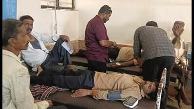 Bees sting 55 at Kolhapur crematorium, 12 still in hospital