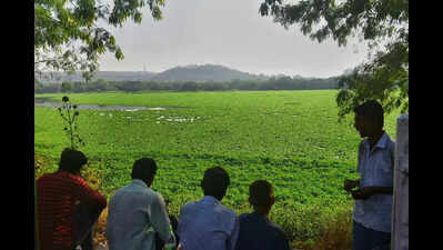 Pashan Lake sewage to be treated at bigger STP in Baner
