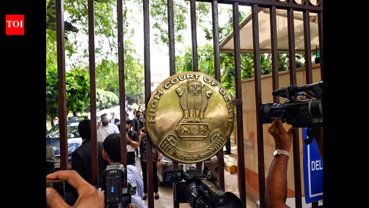 17 years on, gallery owner convicted for Shahtoosh shawl export bid