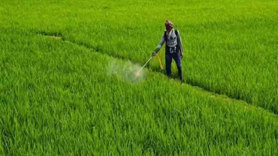 Fertiliser imports turn costly: IPL gets urea bids almost double previous rates