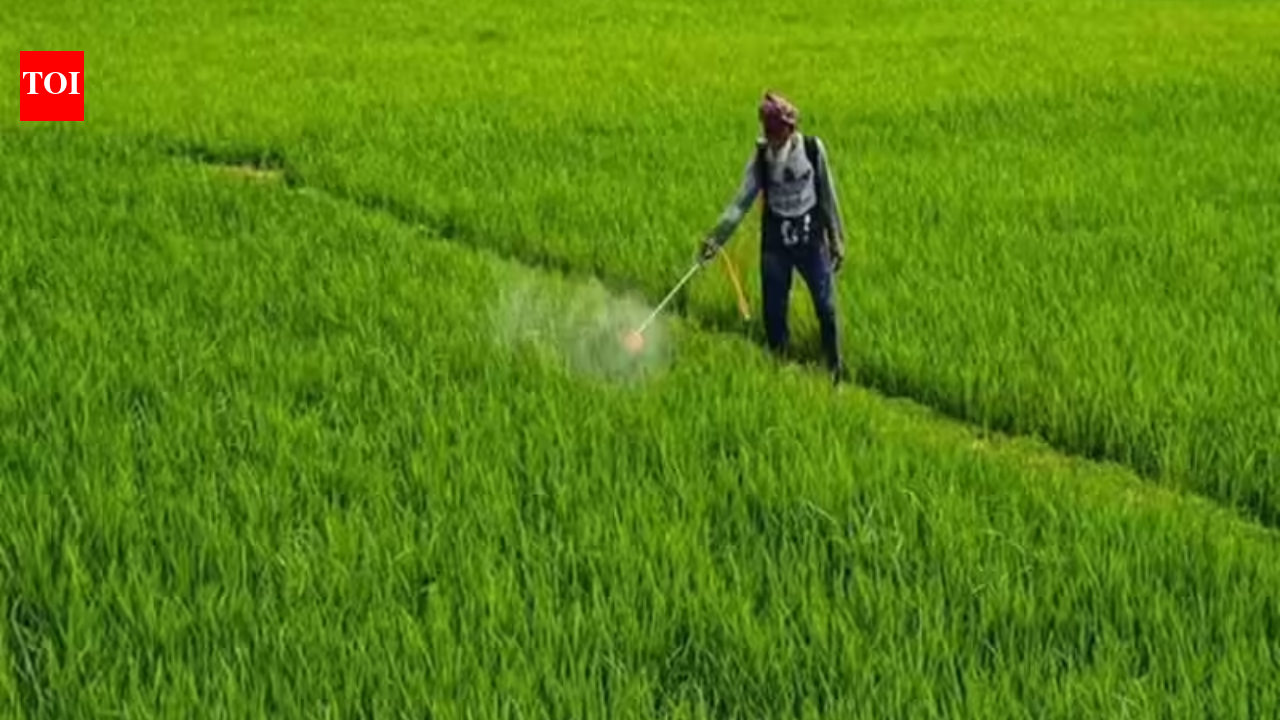 Fertiliser imports turn costly: IPL gets urea bids almost double previous rates
