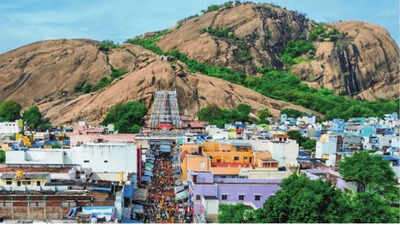 Tamil Nadu polls: Karthigai Deepam row fails to light up