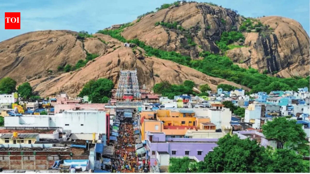 Tamil Nadu polls: Karthigai Deepam row fails to light up