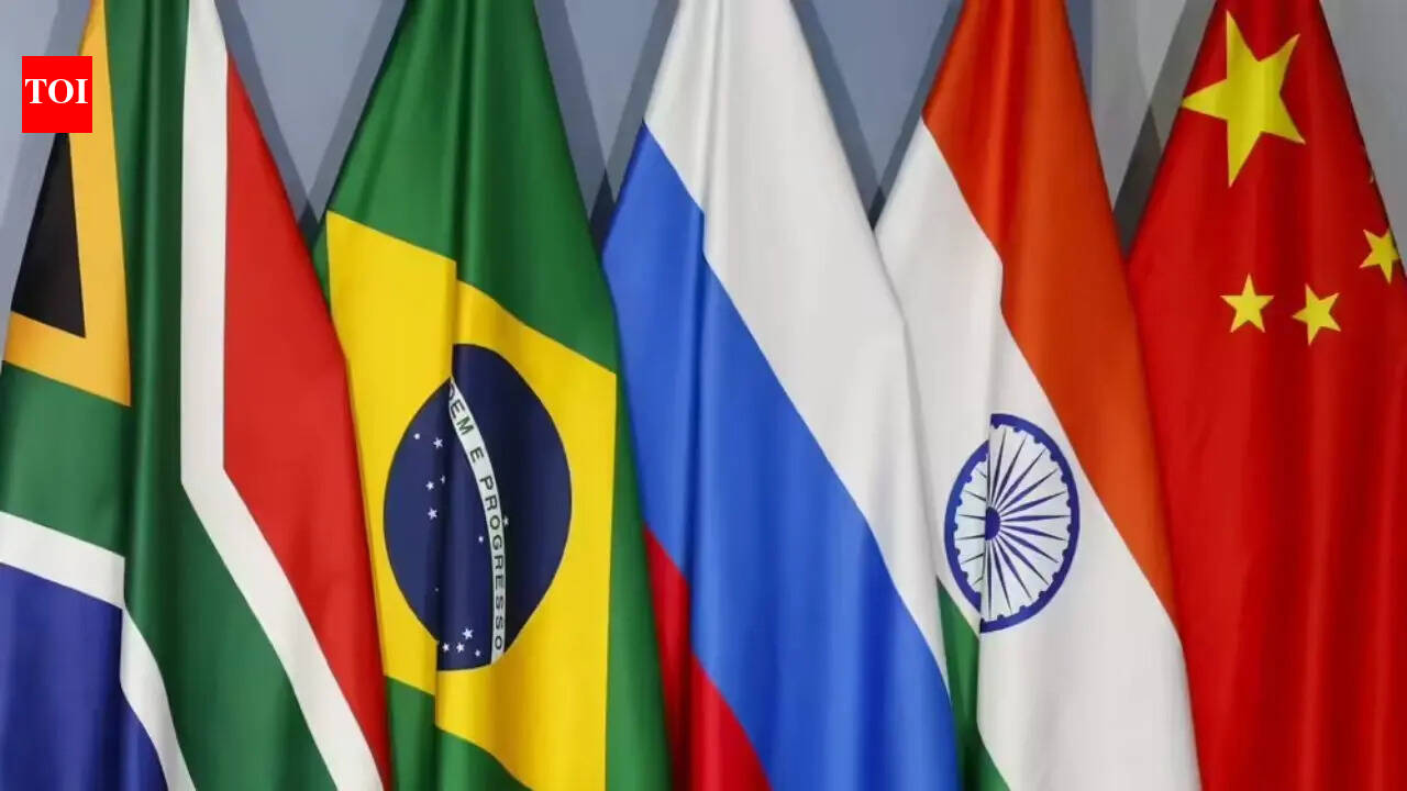India flags mental health, lifestyle diseases as new BRICS priorities