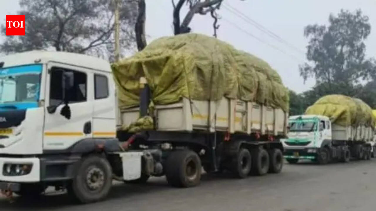 Ghazipur’s waste diverted to fuel M’nagar paper mills? Locals say villages stink, fear health risks