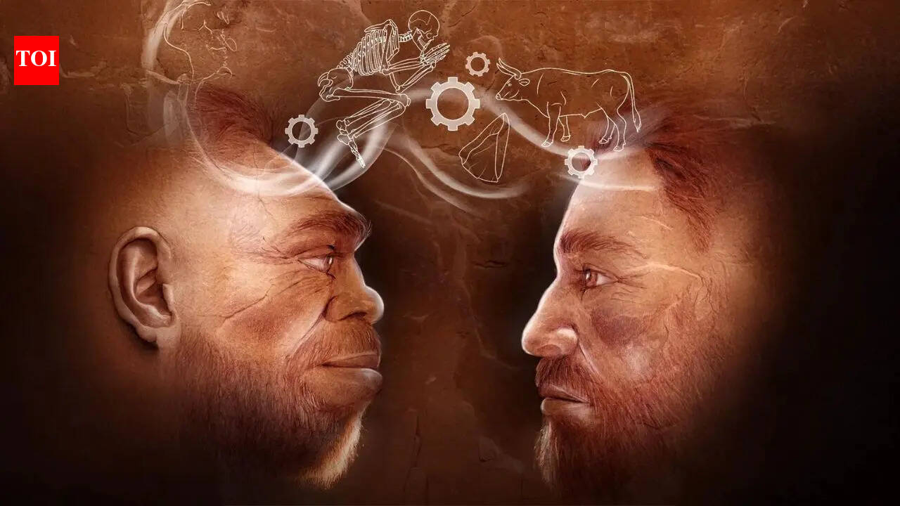 Scientists uncover 110,000-year-old evidence in Israel of humans and Neanderthals working together