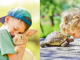 Perfect pet for every age and what they teach kids: Animals that cultivate responsibility, empathy, problem-solving from age 3 to 10 years