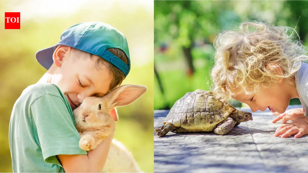 Perfect pet for every age and what they teach kids: Animals that cultivate responsibility, empathy, problem-solving from age 3 to 10 years