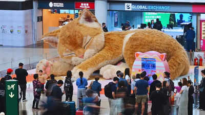 This airport has a giant cat—and travellers can’t stop admiring it!