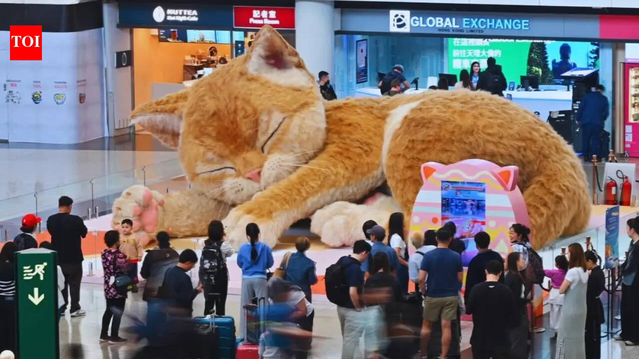 This airport has a giant cat—and travellers can’t stop admiring it!