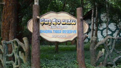 NTCA directive could scuttle demands to alter Bhadra Tiger Reserve buffer