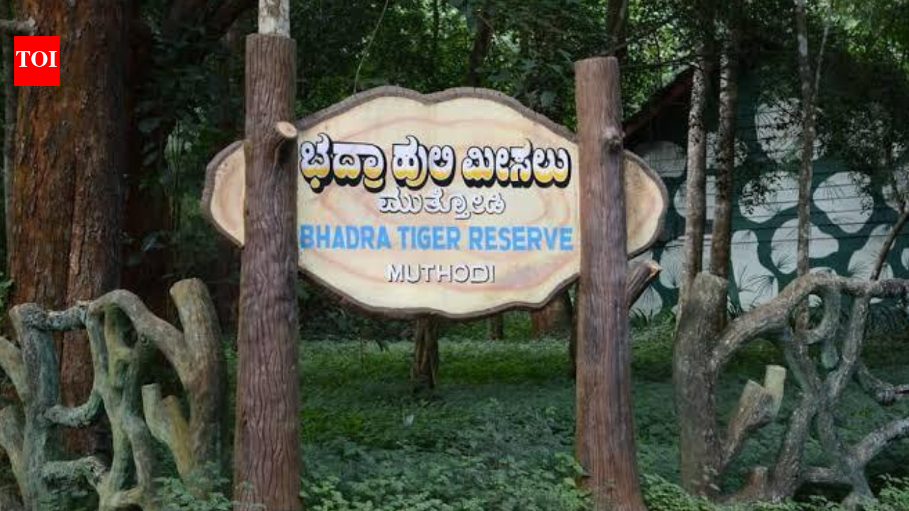 NTCA directive could scuttle demands to alter Bhadra Tiger Reserve buffer
