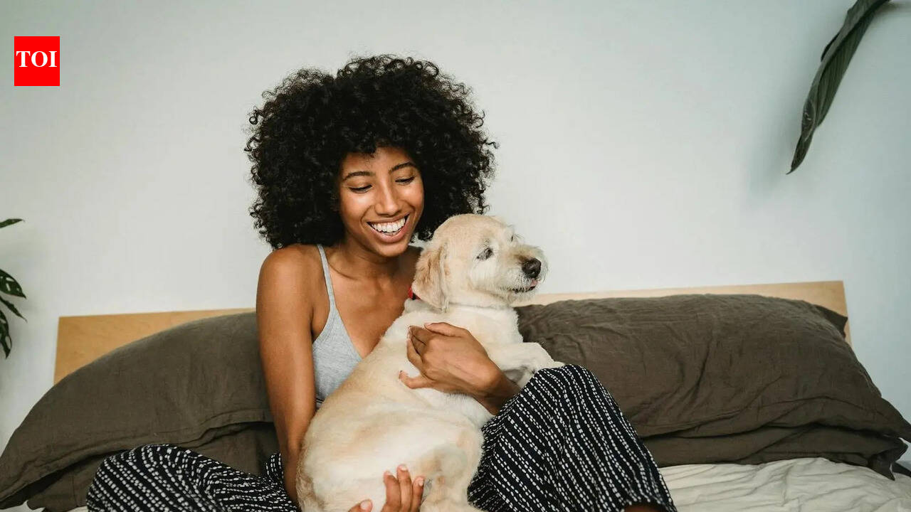 UK pet owners may soon need vet prescriptions for flea treatments as studies link them to river pollution