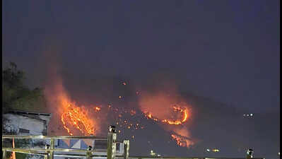 Forest fires in Bageshwar push wildlife into villages