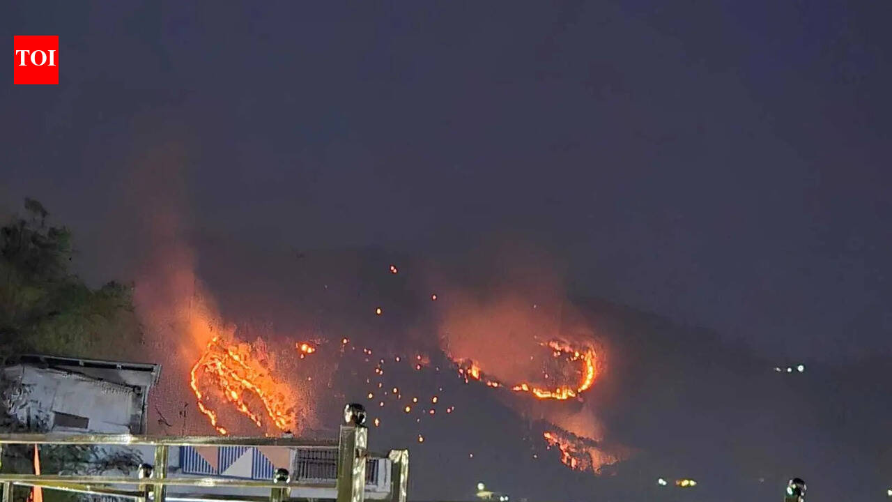 Forest fires in Bageshwar push wildlife into villages