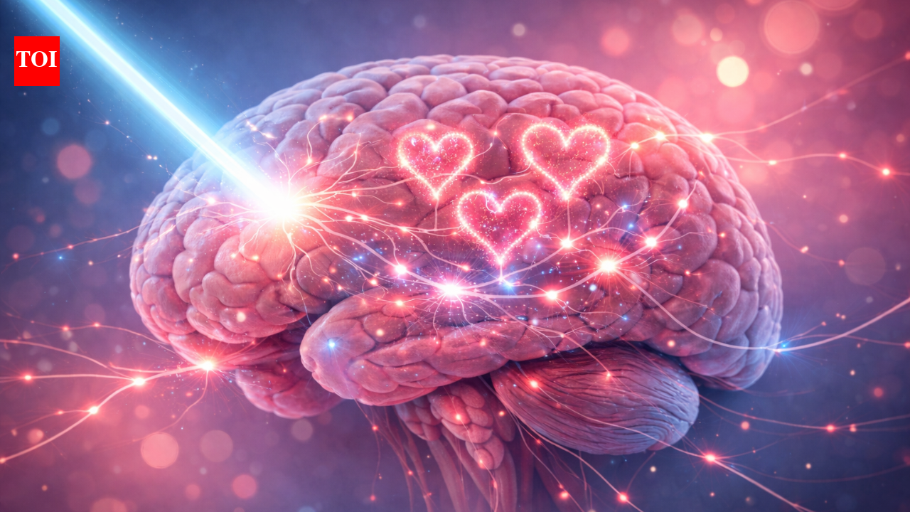 Scientists create a ‘light switch’ for the love hormone: How it could change how humans love and form bonds