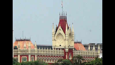 Why only profs as presiding officers, why not use me, too: HC judge slams EC