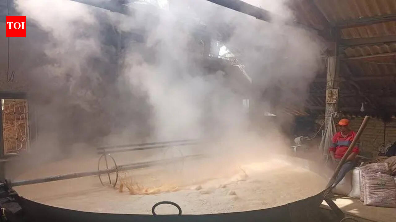 Kolhapur APMC asks farmers to get jaggery tested for synthetic colour, added sweeteners | Kolhapur News - The Times of India