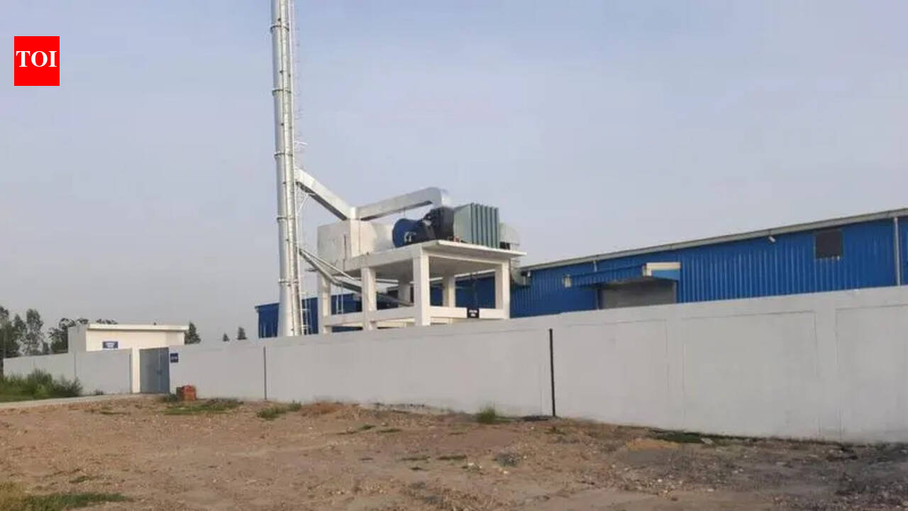 A grave decision: Jamalpur Awana to shoulder city's skeletal remains | Ludhiana News - The Times of India