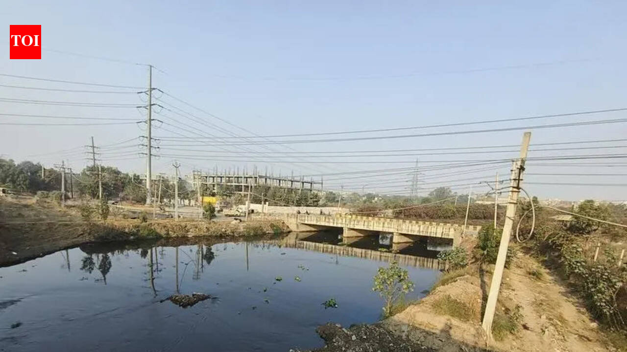 ‘Water+’ certification just an eyewash: Residents | Ludhiana News - The Times of India
