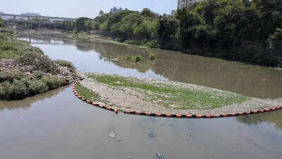 PCMC’s hyacinth traps in Mula ruining our drinking water, says gram panchayat