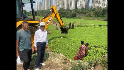 Hinjewadi Residents Crowdfund Effort To Clean Up Weeds Choking Mula River