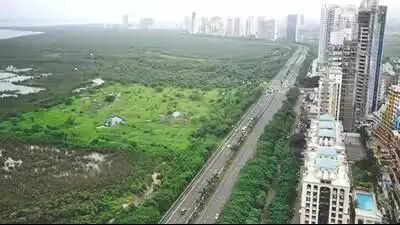 NMMC starts tunnel road work underneath Palm Beach Road; trees to be hit