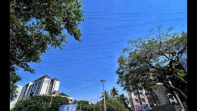 PMC to halt drive against overhead cables