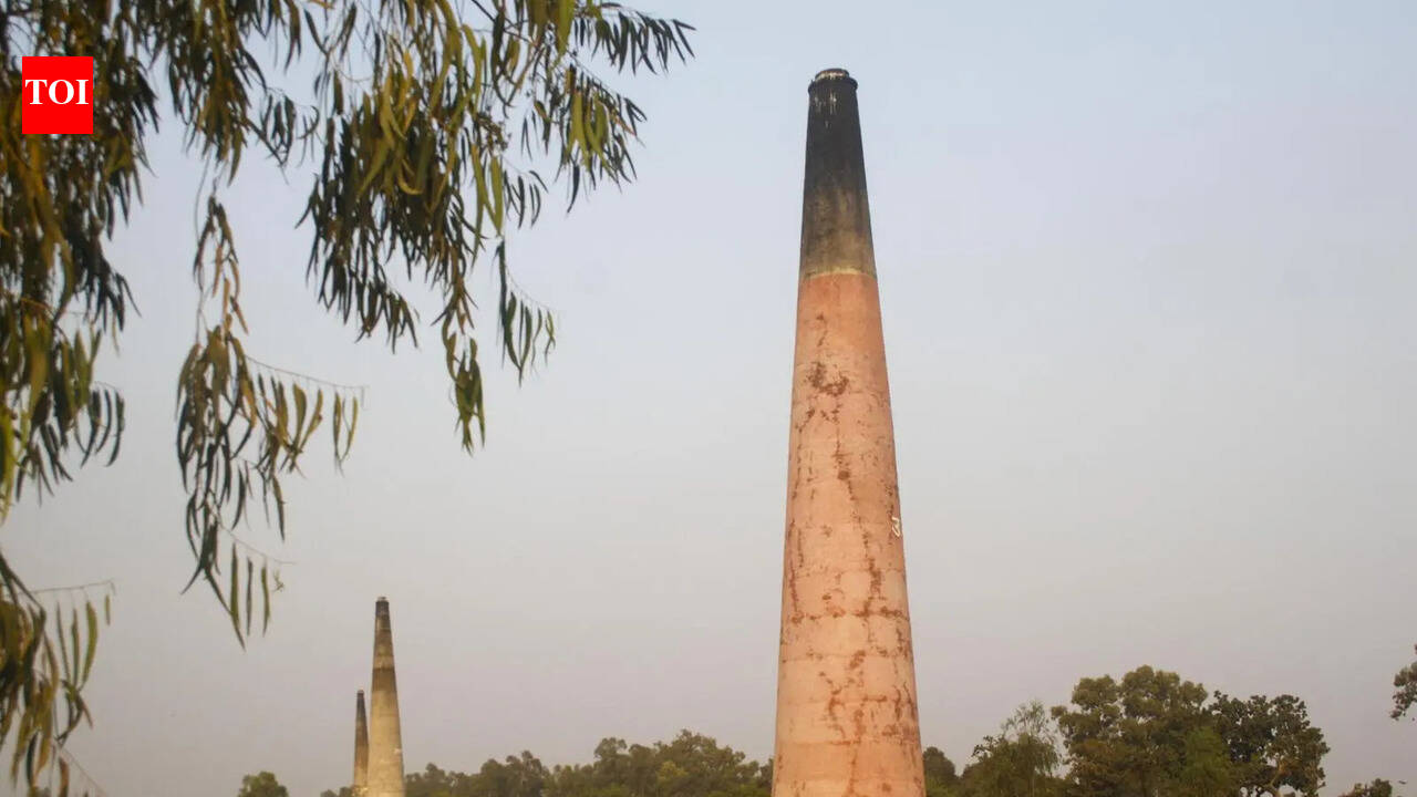 ‘Halt op if clearance missing’: NGT orders HSPCB checks on Rewari brick kiln