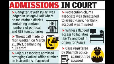 Extortion Plot Against Gadkari Hatched In Jail, Court Told
