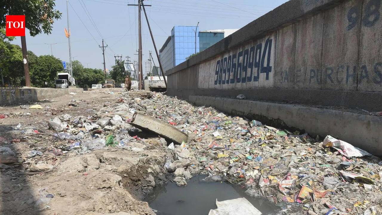 Noida’s industry hub has a yearlong problem: Not protests, it’s filth