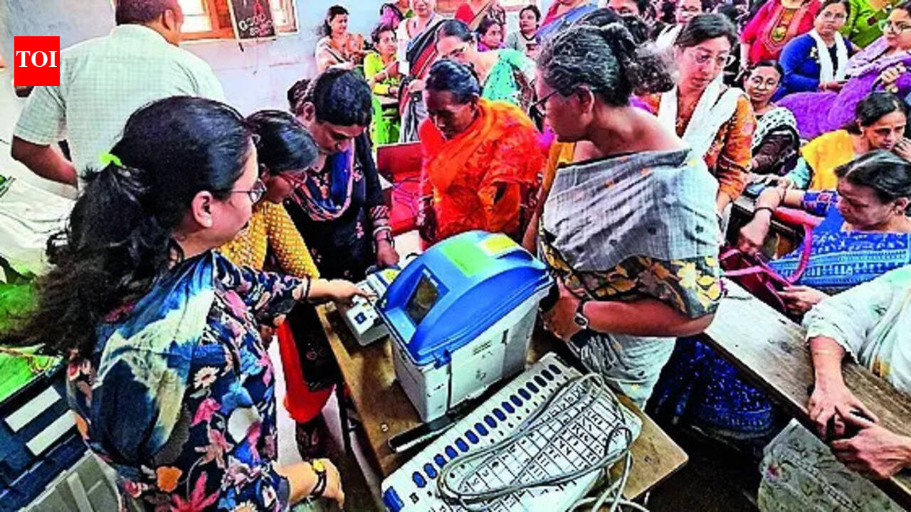 'Why only professors, put judges too on election duty': HC slams EC