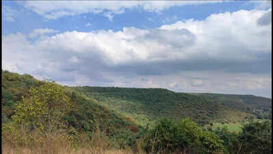 Scorching Chittapur secures green haven as Karnataka’s wildlife reserve