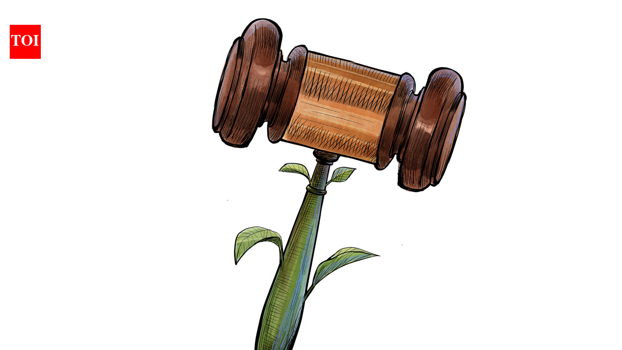 No licence, no jail? What the new law really means