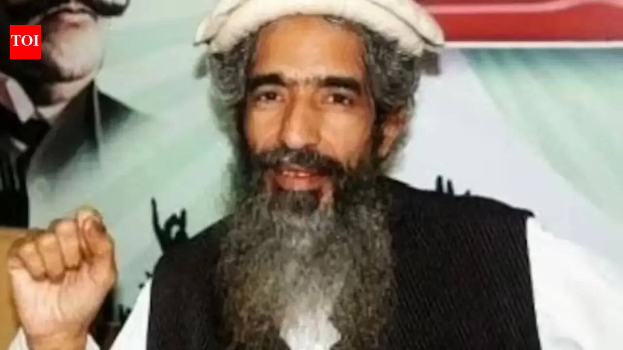 Dhurandhar script replayed in Pakistan? Years after Bengaluru IISc attack, Amir Hamza bleeds in Lahore street ambush