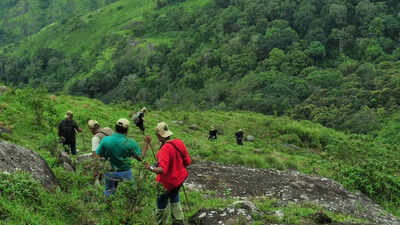 After missing trekkers incidents, Karnataka bans overnight stays, caps group size; rolls out strict SOP - check new rules