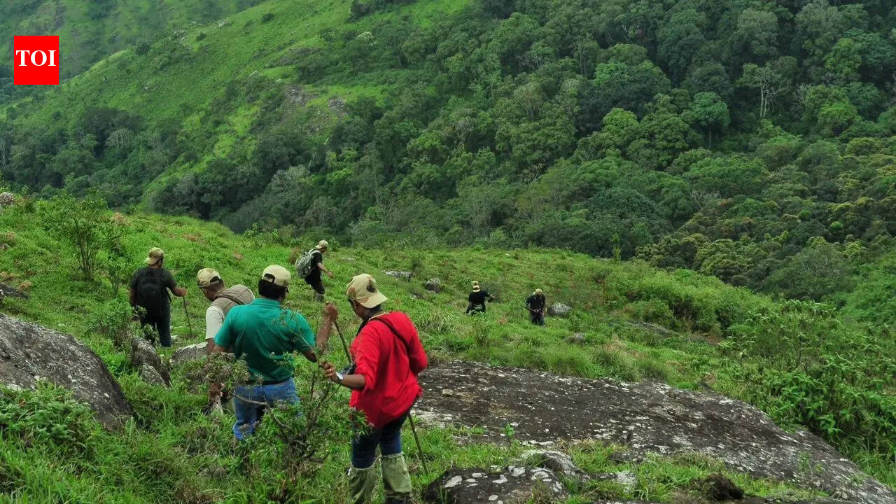 After missing trekkers incidents, Karnataka bans overnight stays, caps group size; rolls out strict SOP - check new rules
