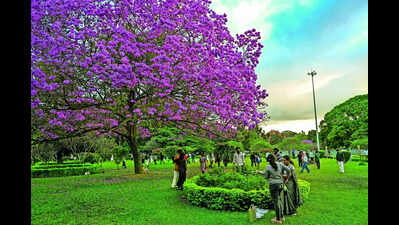 Rediscovering history through Bengaluru’s heritage trails