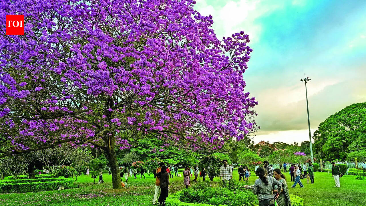 Rediscovering history through Bengaluru’s heritage trails