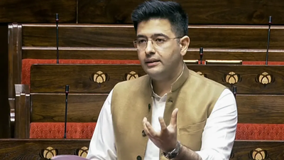 'Leader of my party is not here': Raghav Chadha takes veiled dig at Aam Aadmi Party in Rajya Sabha