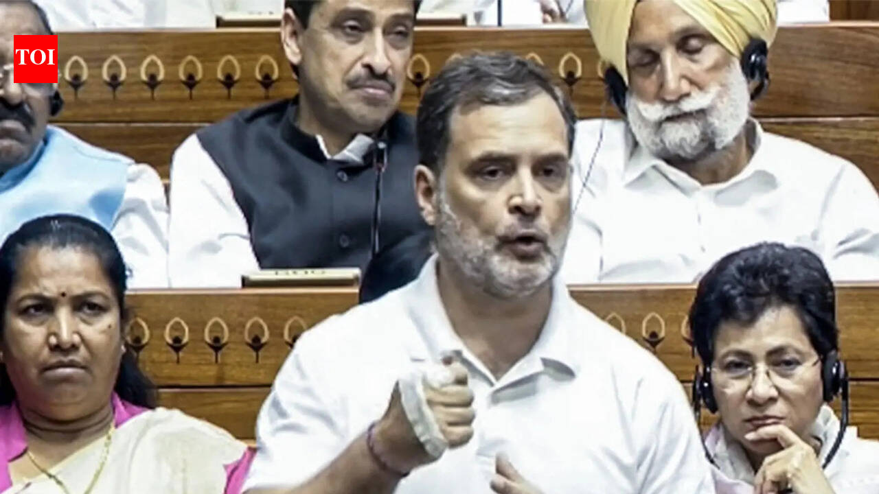 'PM and I don't have wife issue': Rahul Gandhi in Lok Sabha - watch