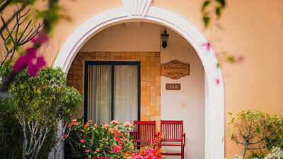 How placing plants in the doorstep can change the dynamics of your house