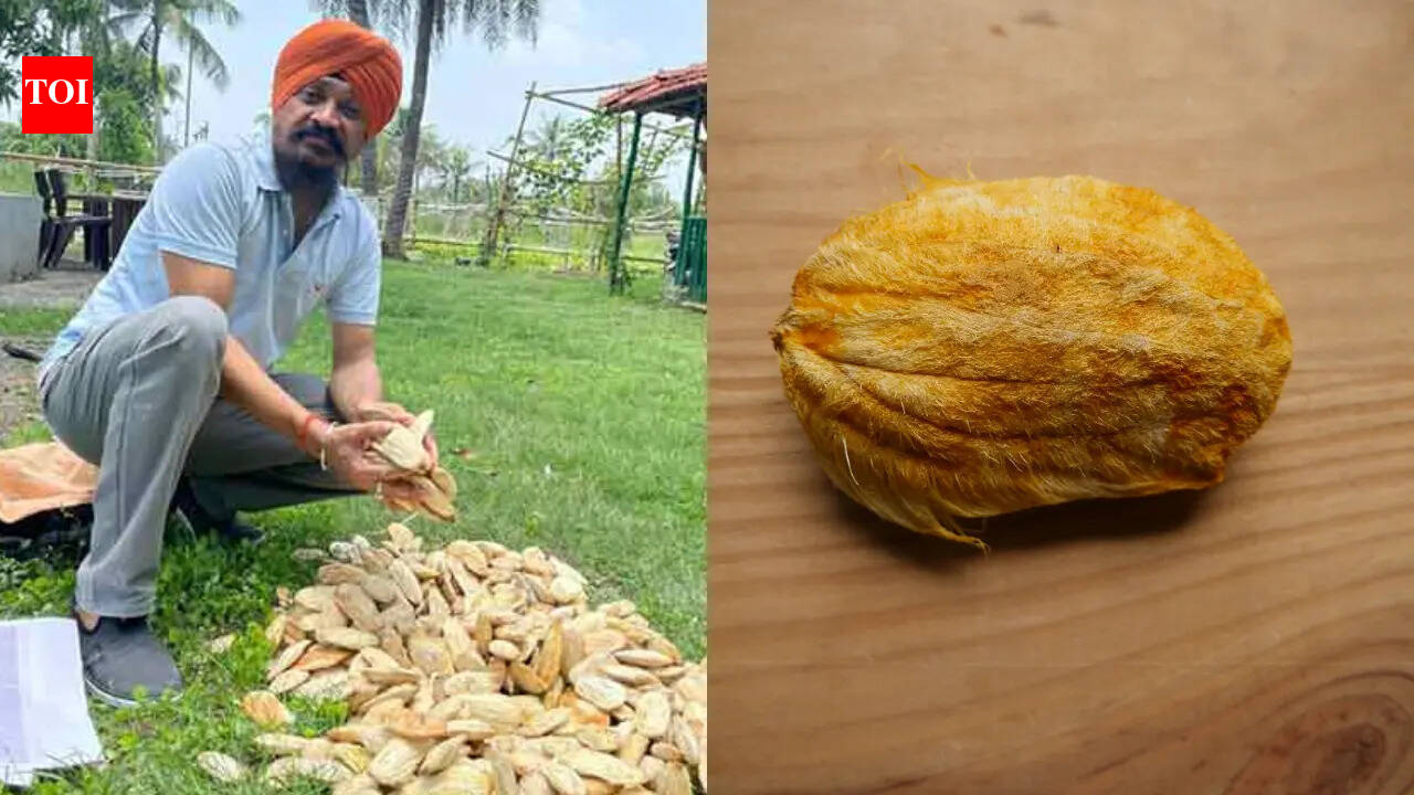 Why this 52-year-old man from Kolkata is called India’s Gutli Man and what is his connection with the mangoes of Bengal