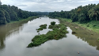  The silent river of India flowing through Kerala’s untouched wilderness