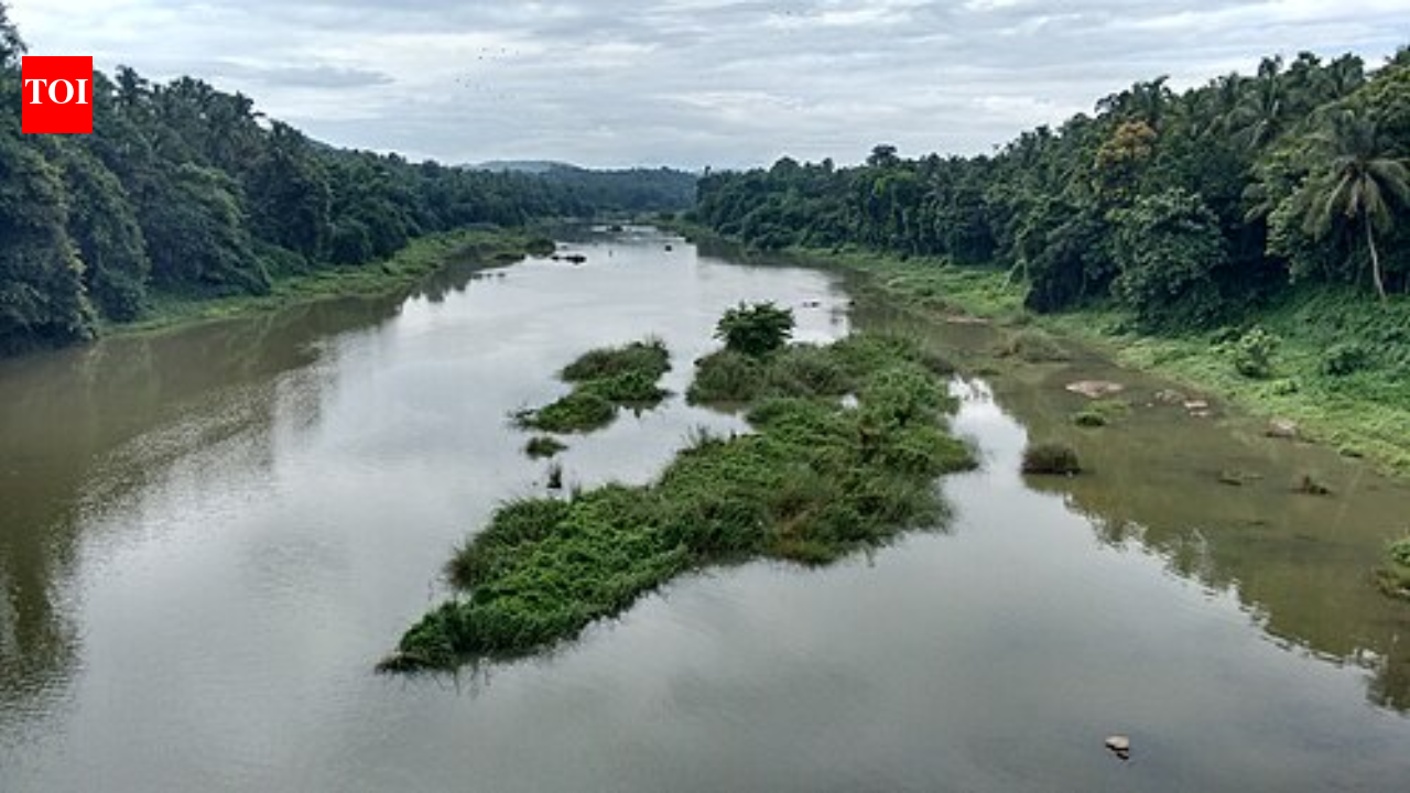 Kunthipuzha: The silent river of India flowing through Kerala’s untouched wilderness