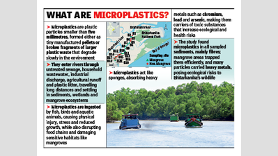 Scientific study finds microplastics in Bhitarkanika ecosystem