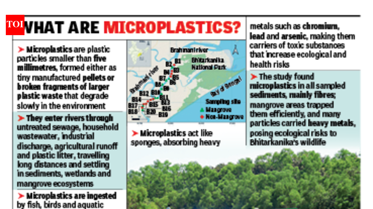 Scientific study finds microplastics in Bhitarkanika ecosystem