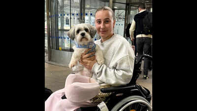 UK vet costs shock: Pet MRI scans now pricier than private human scans