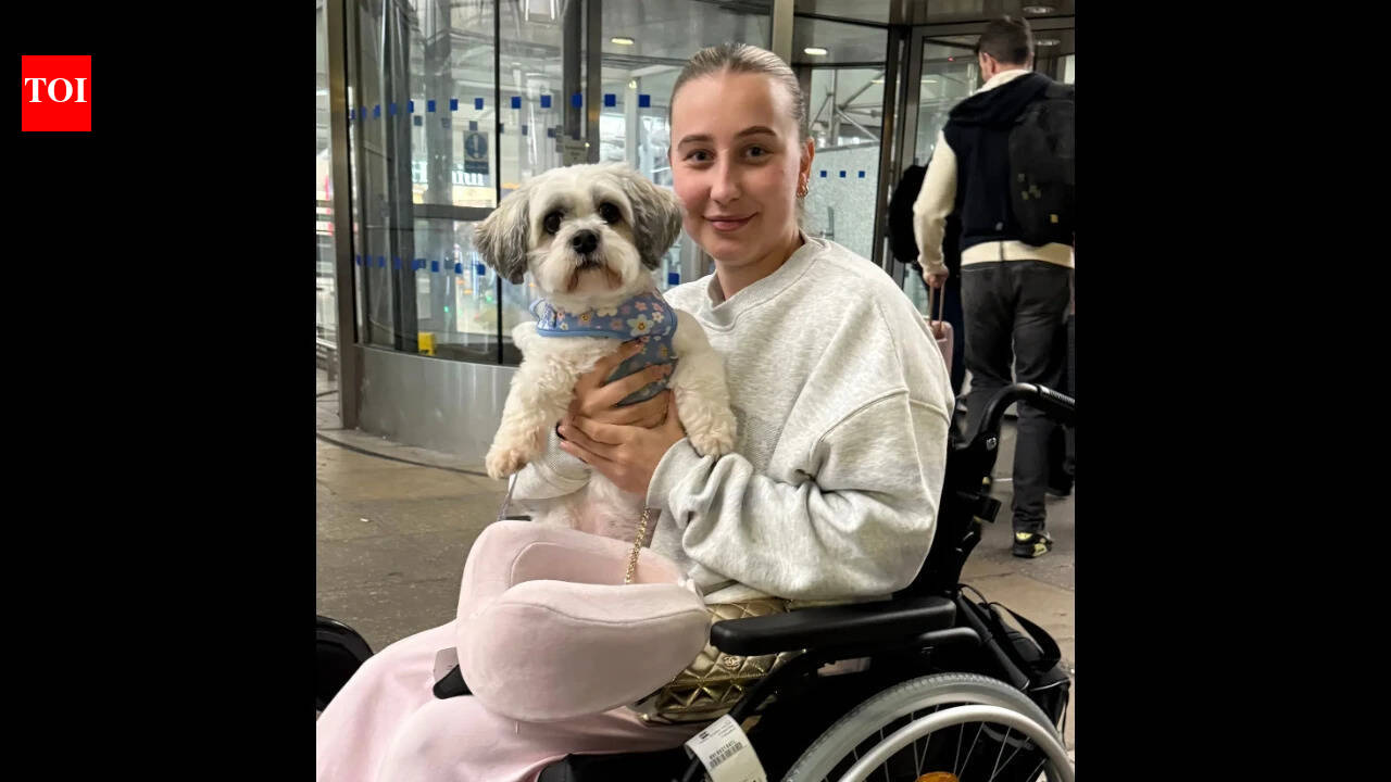 UK vet costs shock: Pet MRI scans now pricier than private human scans